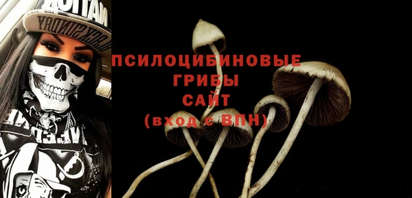 не бодяженный Армянск