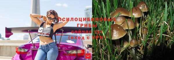 не бодяженный Армянск